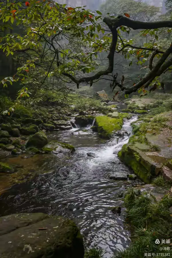 张家界有个大峡谷——金鞭溪